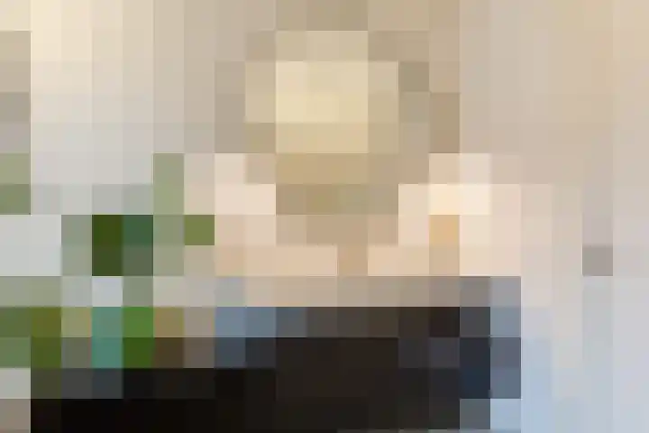 Hof van Nazareth 33 Gemert thumbnail 43
