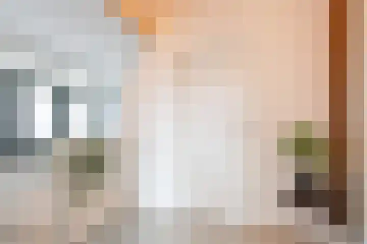 Hof van Nazareth 33 Gemert thumbnail 44