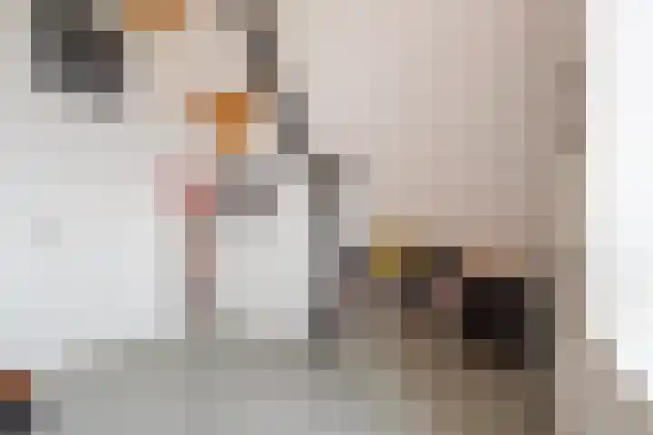 Hof van Nazareth 33 Gemert thumbnail 47