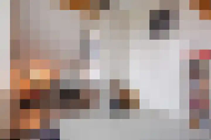 Hof van Nazareth 33 Gemert thumbnail 48