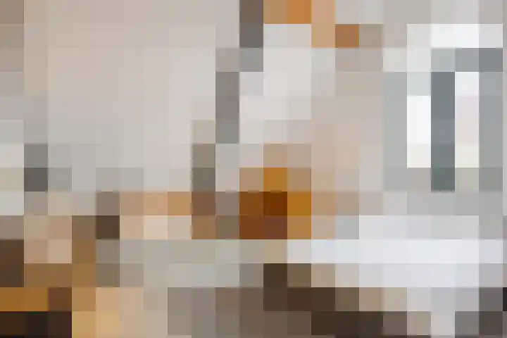 Hof van Nazareth 33 Gemert thumbnail 49
