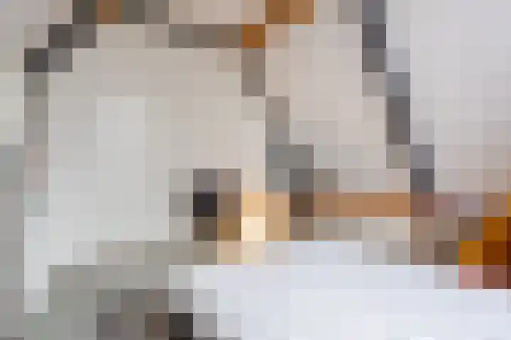 Hof van Nazareth 33 Gemert thumbnail 51