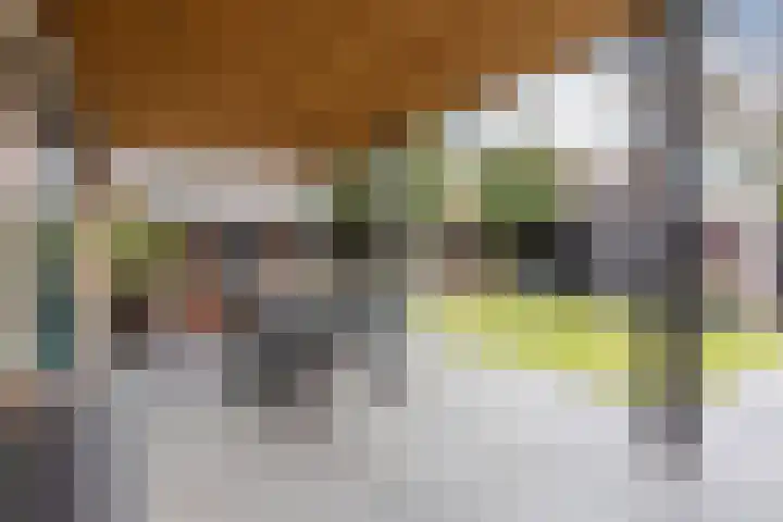 Hof van Nazareth 33 Gemert thumbnail 53