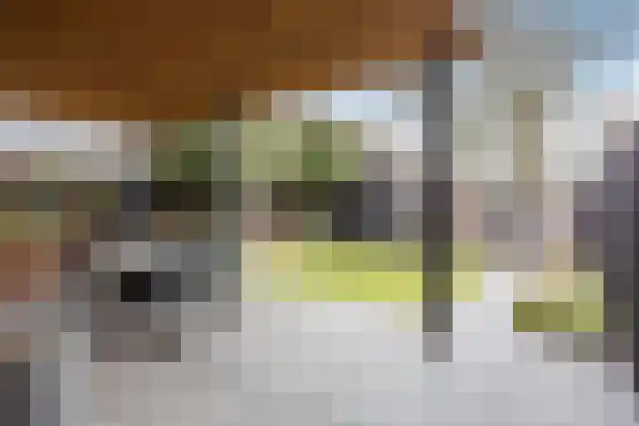 Hof van Nazareth 33 Gemert thumbnail 54