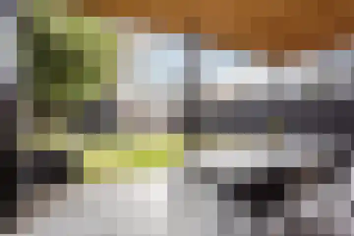 Hof van Nazareth 33 Gemert thumbnail 57