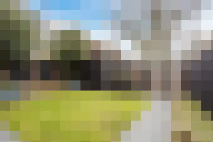 Hof van Nazareth 33 Gemert thumbnail 58