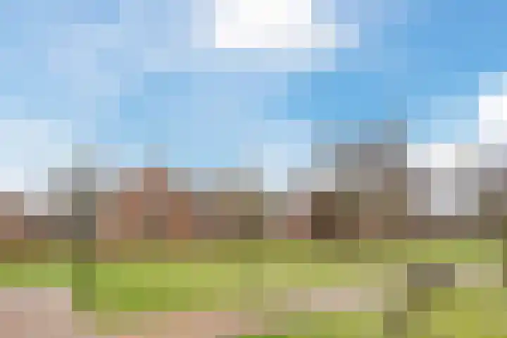 Hof van Nazareth 33 Gemert thumbnail 61