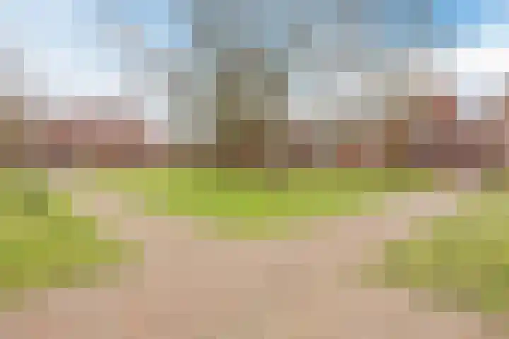Hof van Nazareth 33 Gemert thumbnail 62