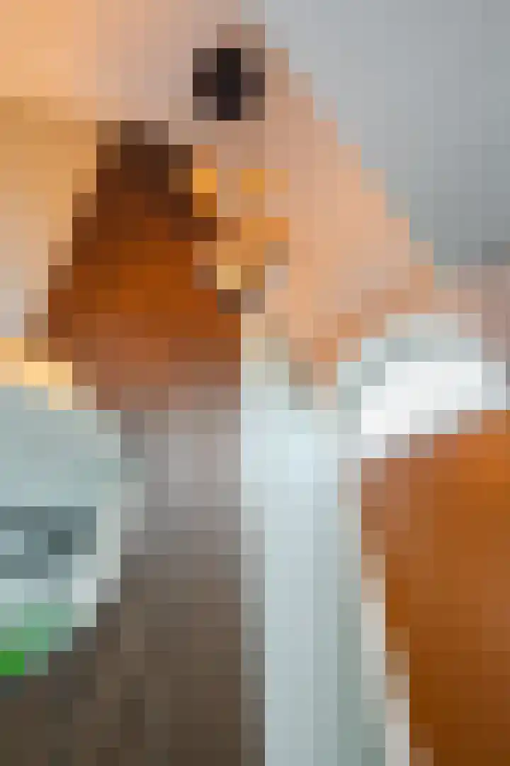 Hof van Nazareth 33 Gemert thumbnail 7