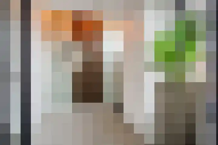 Hof van Nazareth 33 Gemert thumbnail 8