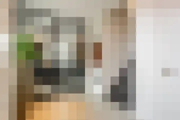 Hof van Nazareth 33 Gemert thumbnail 9