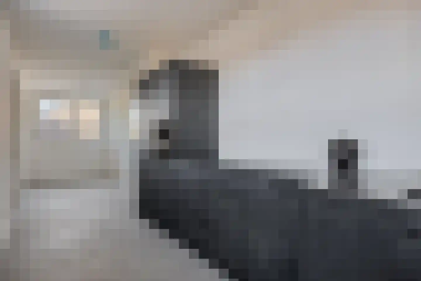 Hof van Olijven 3 Eindhoven thumbnail 12