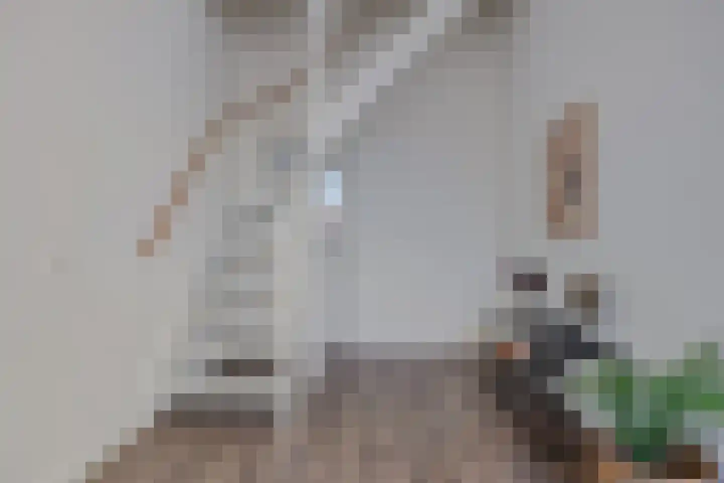 Hof van Olijven 3 Eindhoven thumbnail 20