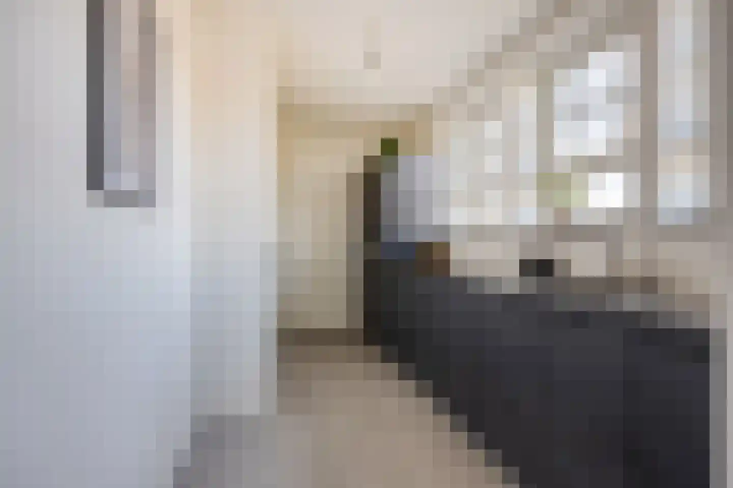 Hof van Olijven 4 Eindhoven thumbnail 11