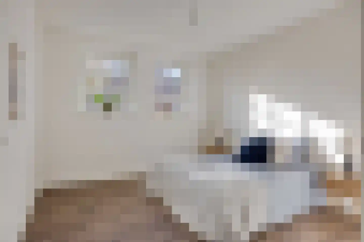 Hof van Olijven 4 Eindhoven thumbnail 21