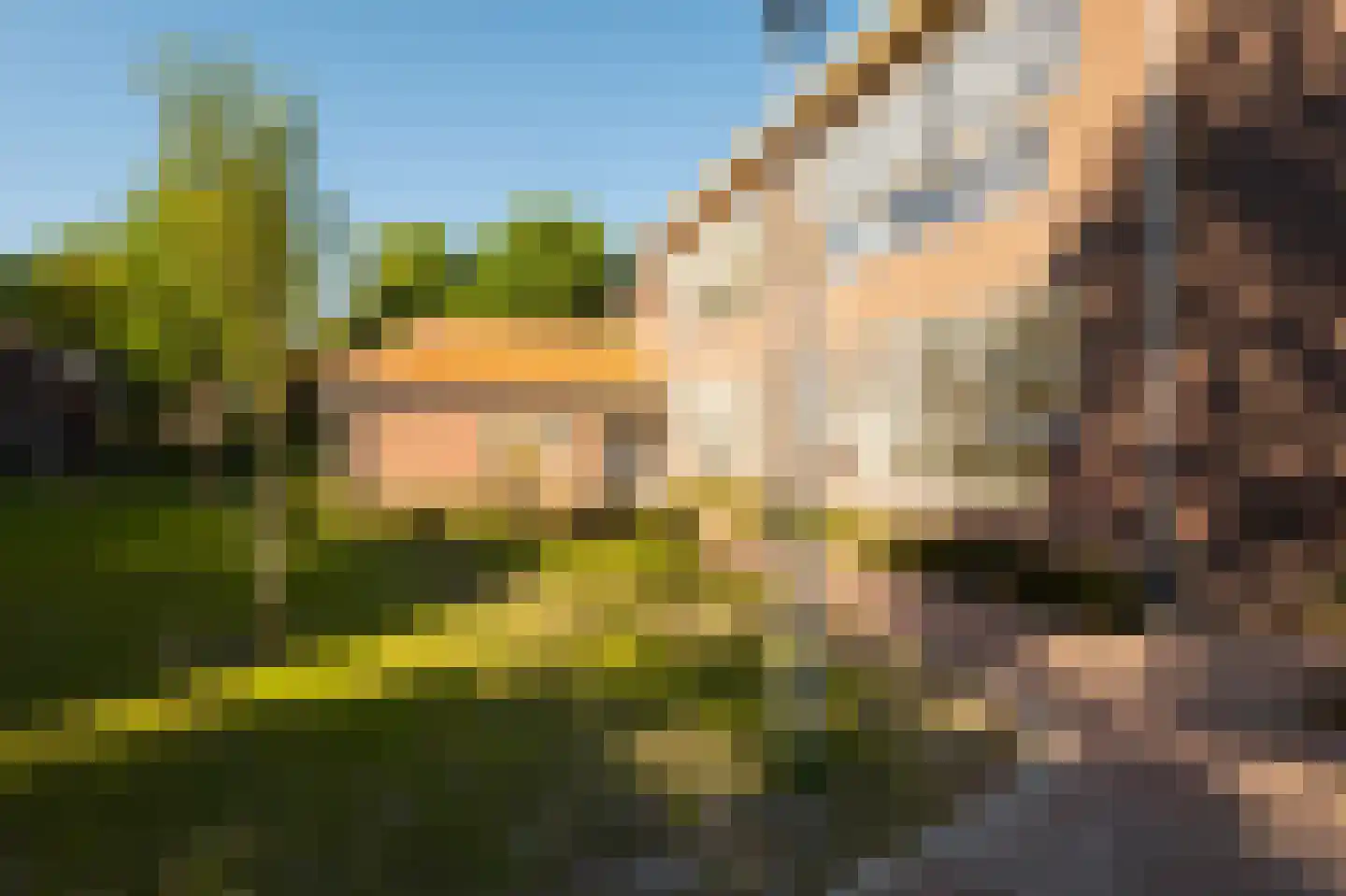Hof van Olijven 4 Eindhoven thumbnail 38
