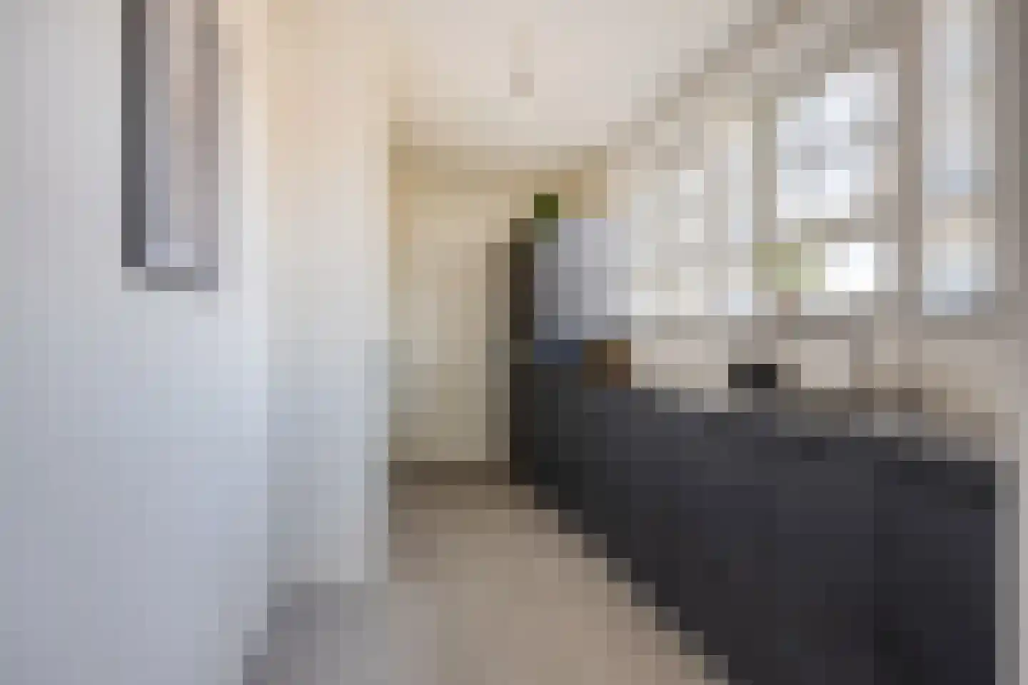 Hof van Olijven 4 Eindhoven thumbnail 4