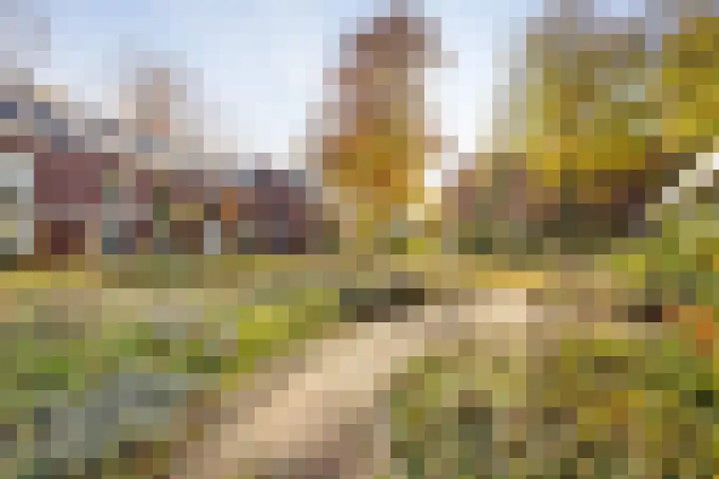 Hof van Olijven 4 Eindhoven thumbnail 40