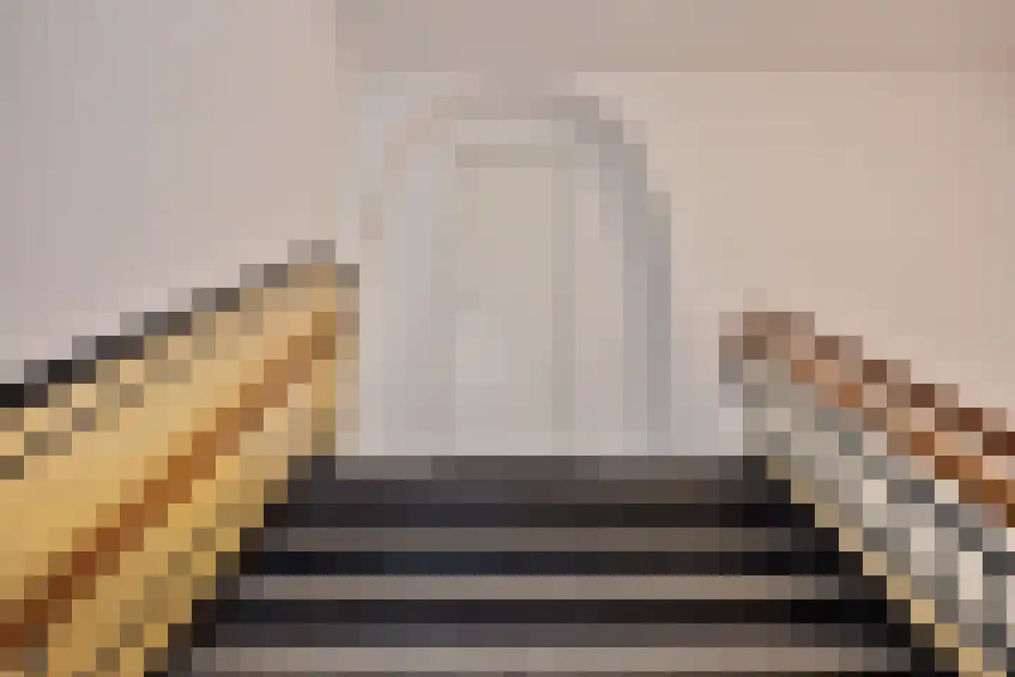 Hof van Olijven 4 Eindhoven thumbnail 9