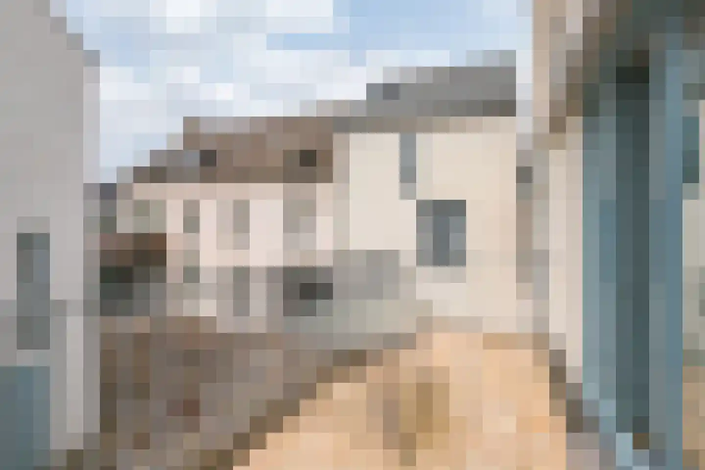 Hof van Oranje 14 Meerssen thumbnail 5