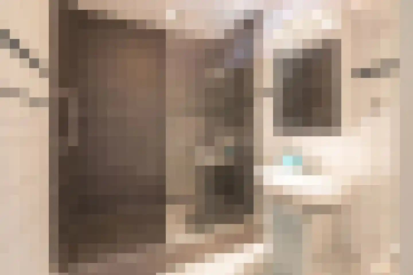 Hof van Oranje 14 Meerssen thumbnail 9