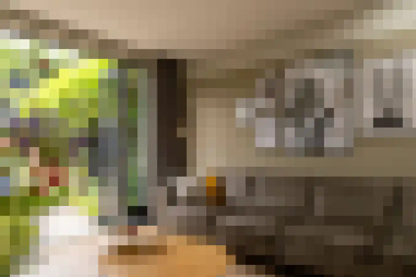 Hof van Oranje 4 Silvolde thumbnail 13