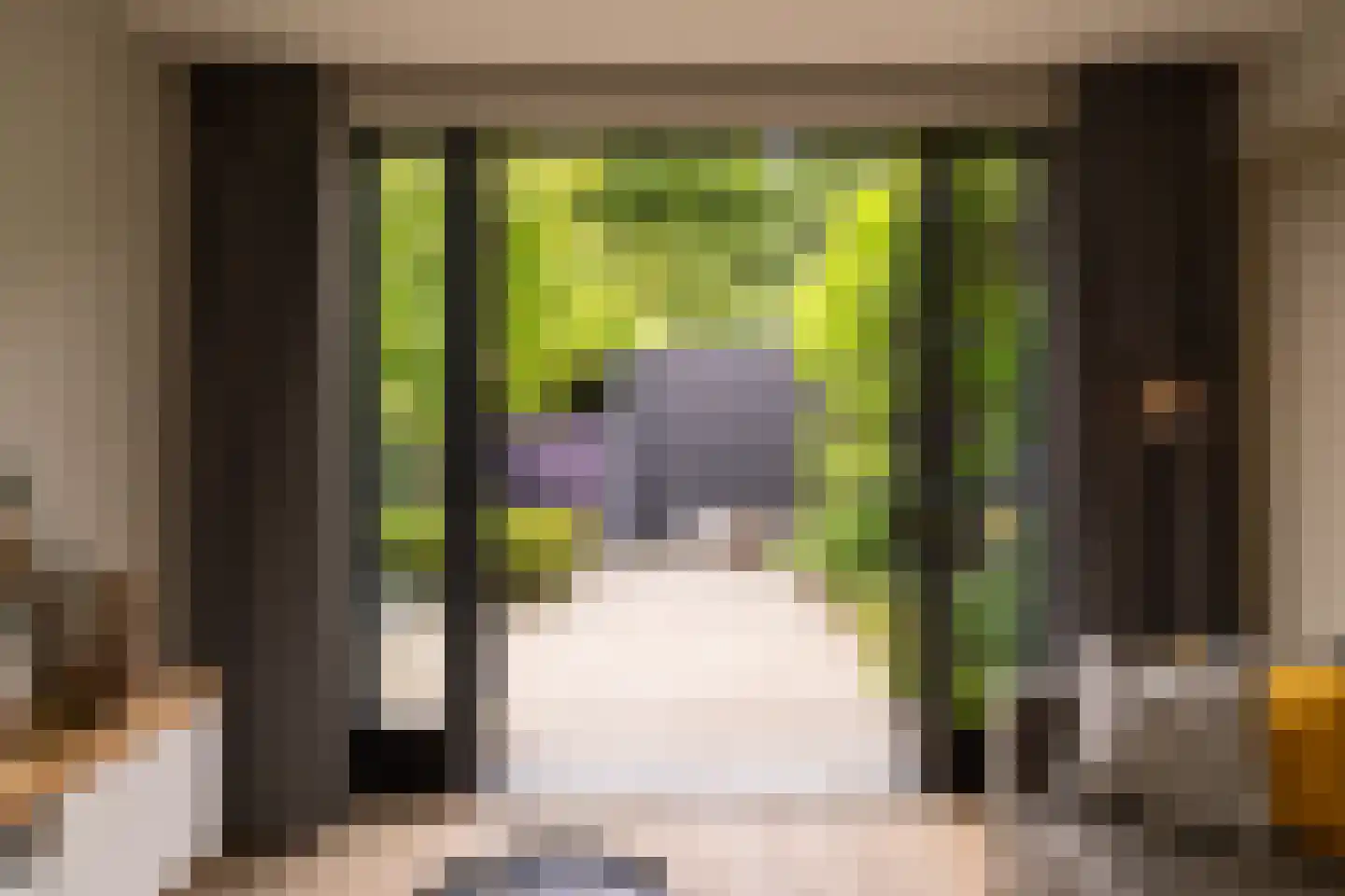 Hof van Oranje 4 Silvolde thumbnail 14