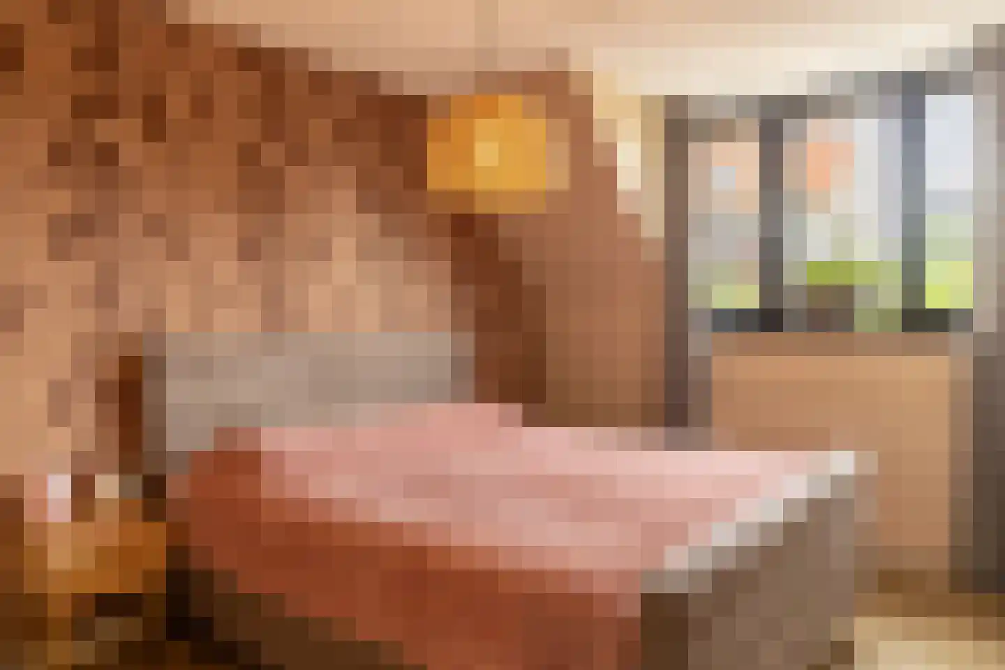 Hof van Oranje 4 Silvolde thumbnail 21