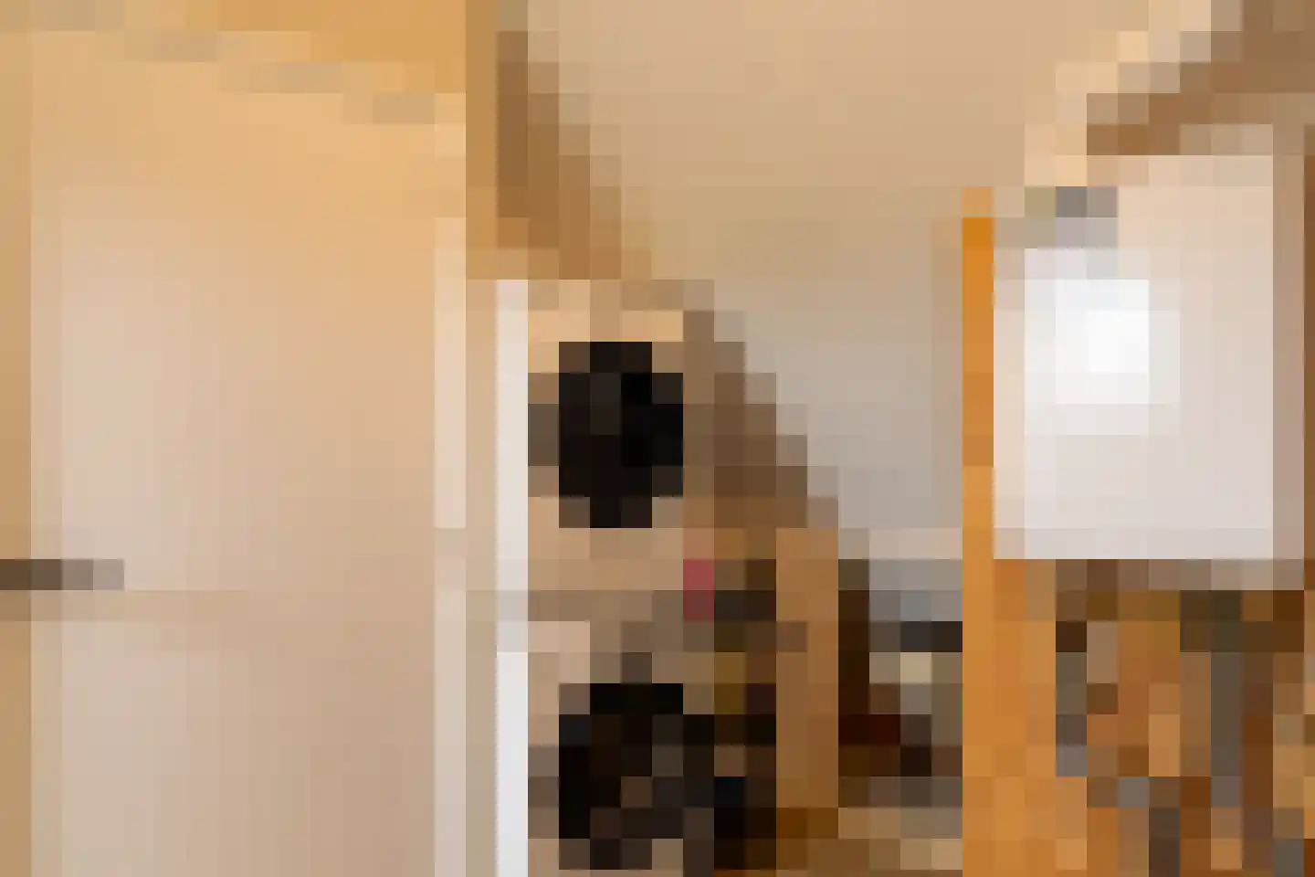 Hof van Oranje 4 Silvolde thumbnail 25