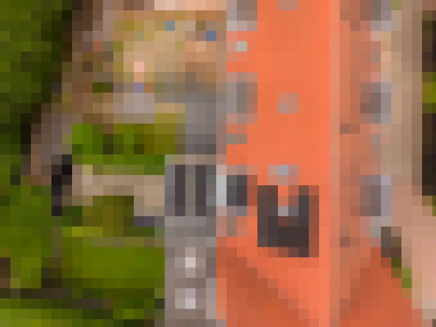 Hof van Oranje 4 Silvolde thumbnail 28