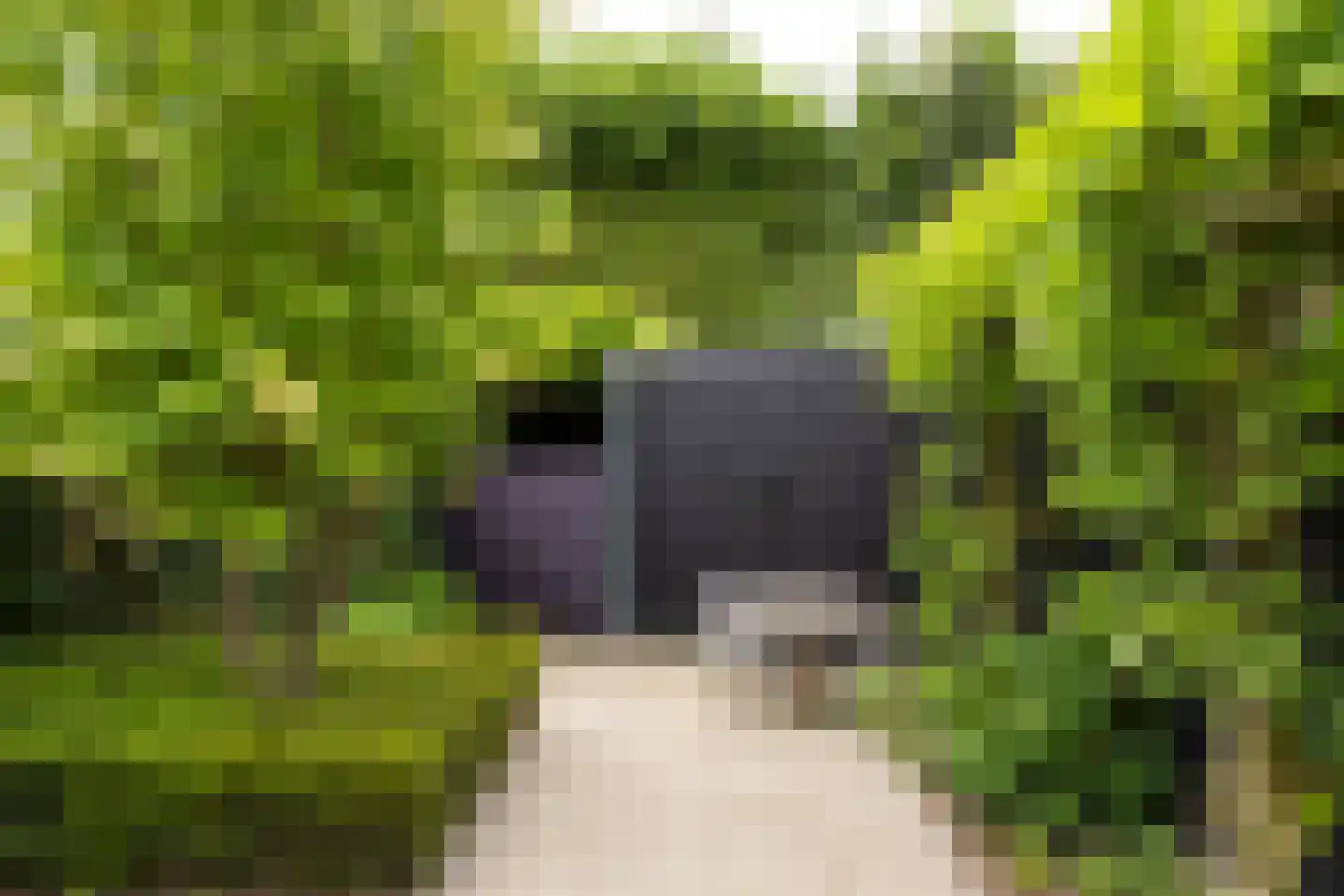 Hof van Oranje 4 Silvolde thumbnail 33