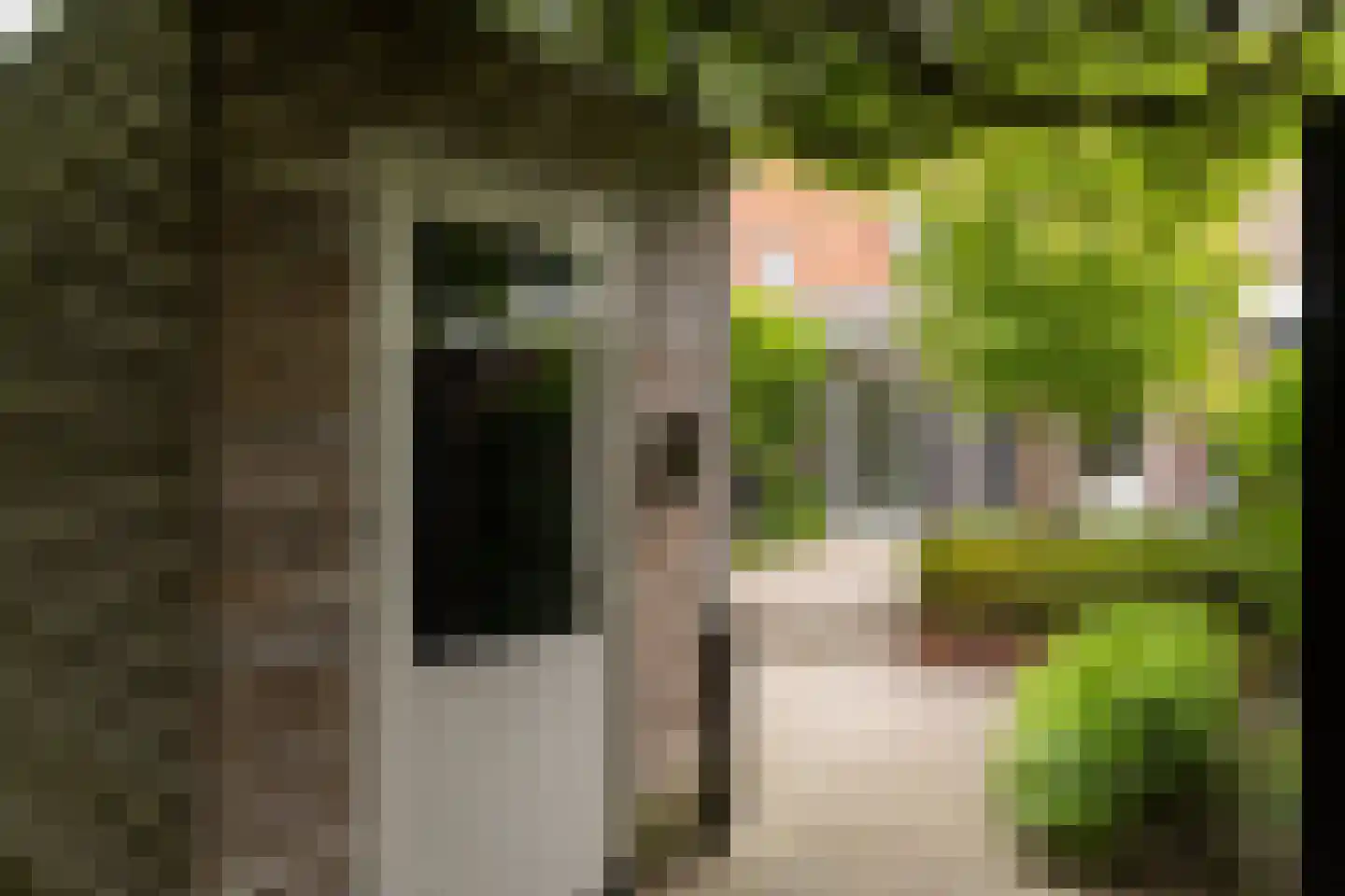 Hof van Oranje 4 Silvolde thumbnail 35