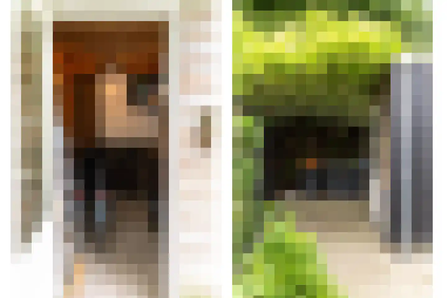 Hof van Oranje 4 Silvolde thumbnail 36