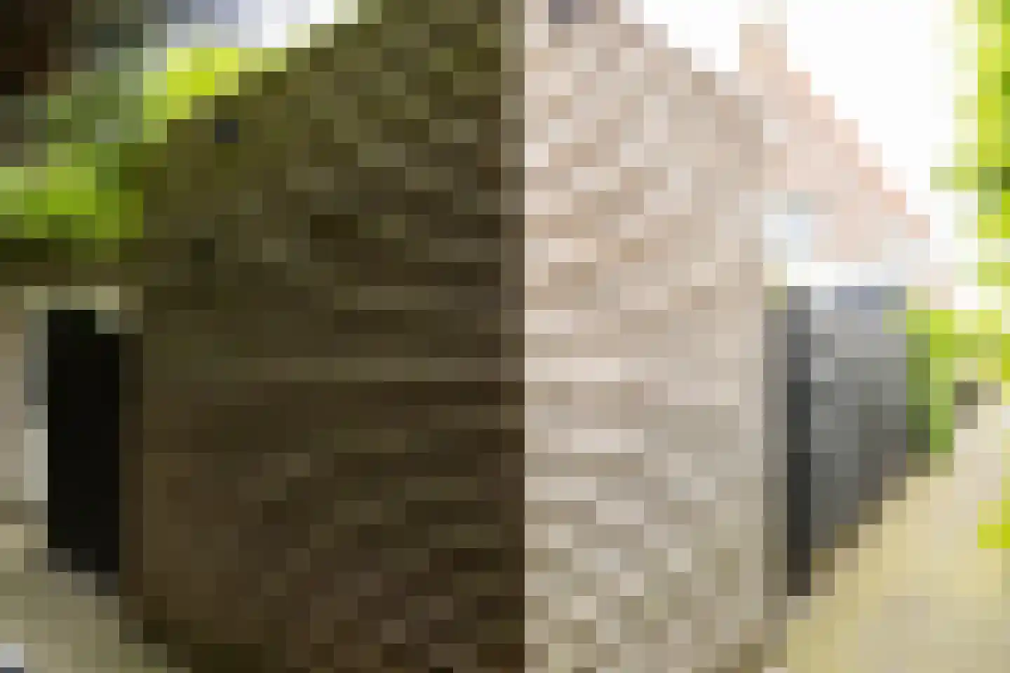Hof van Oranje 4 Silvolde thumbnail 37