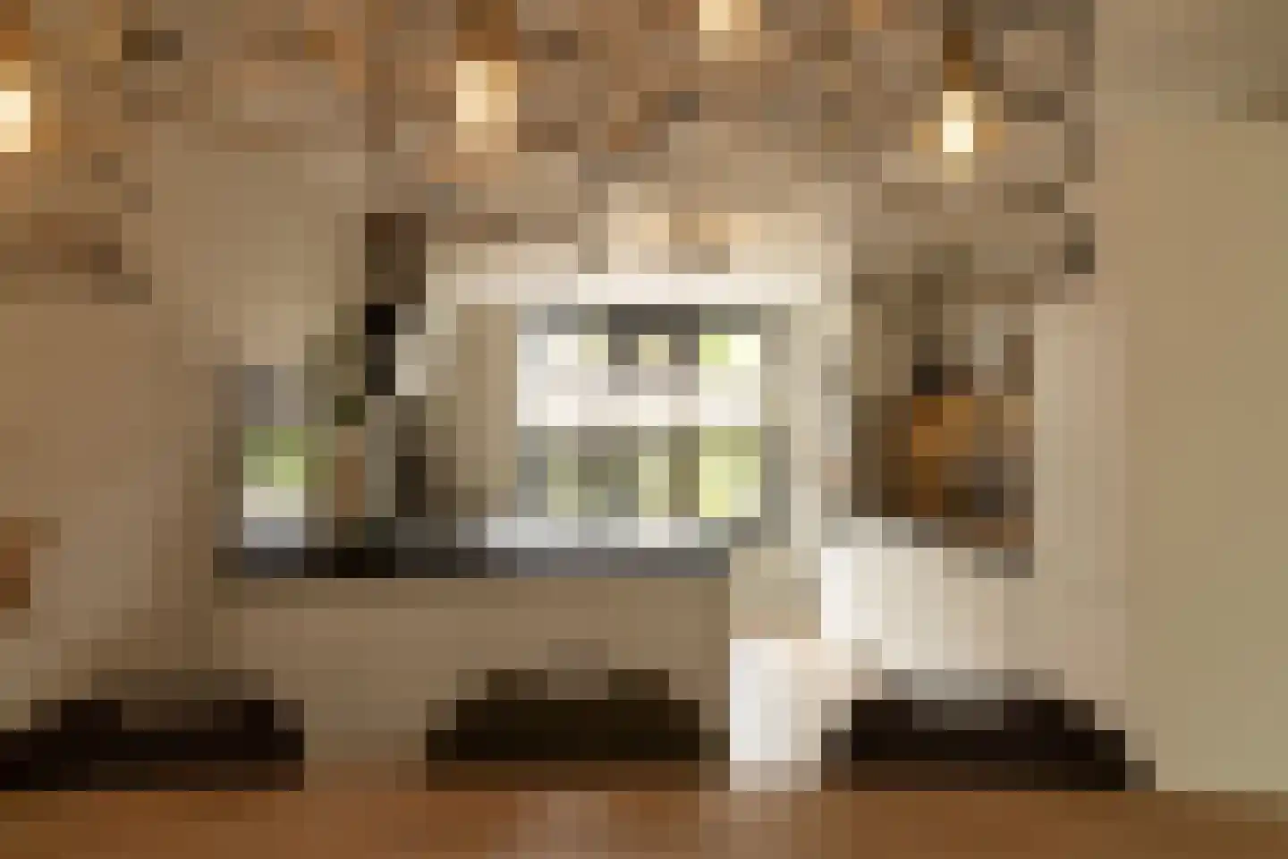 Hof van Oranje 4 Silvolde thumbnail 8