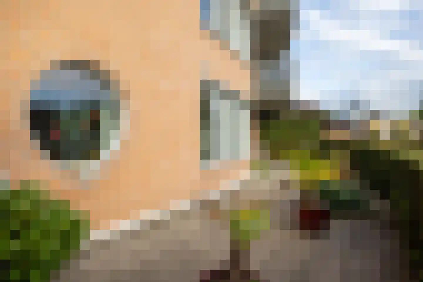 Hof van Oxford 17 Doetinchem thumbnail 18