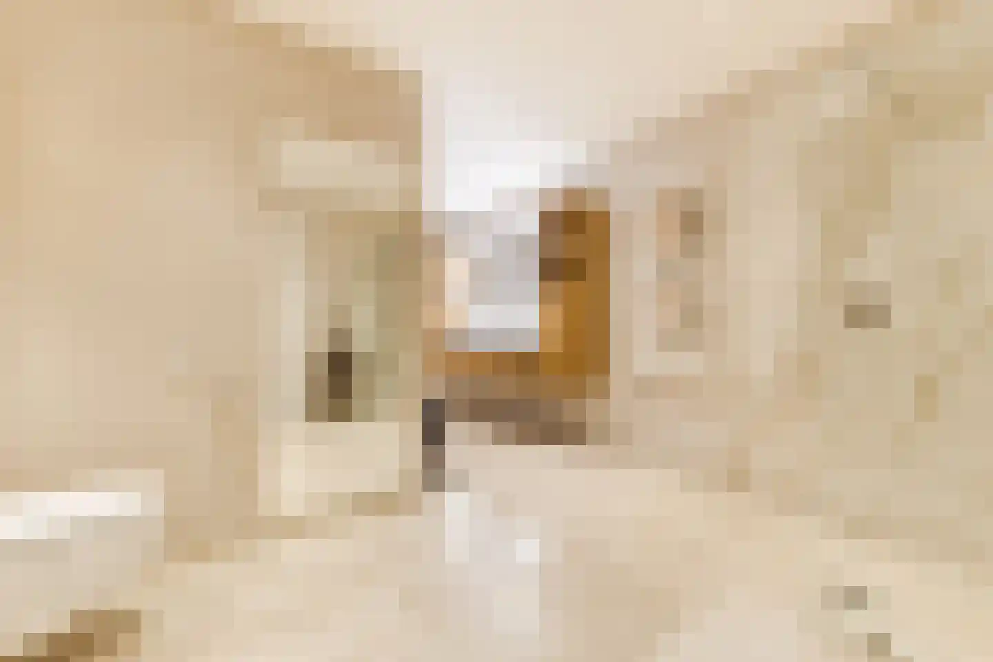 Hof van Pampus 113 Hoofddorp thumbnail 48