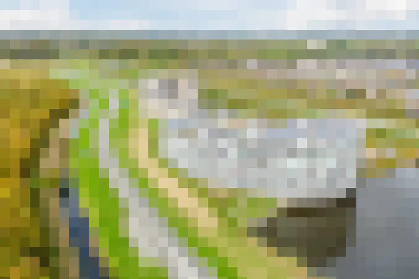 Hof van Pampus 113 Hoofddorp thumbnail 78
