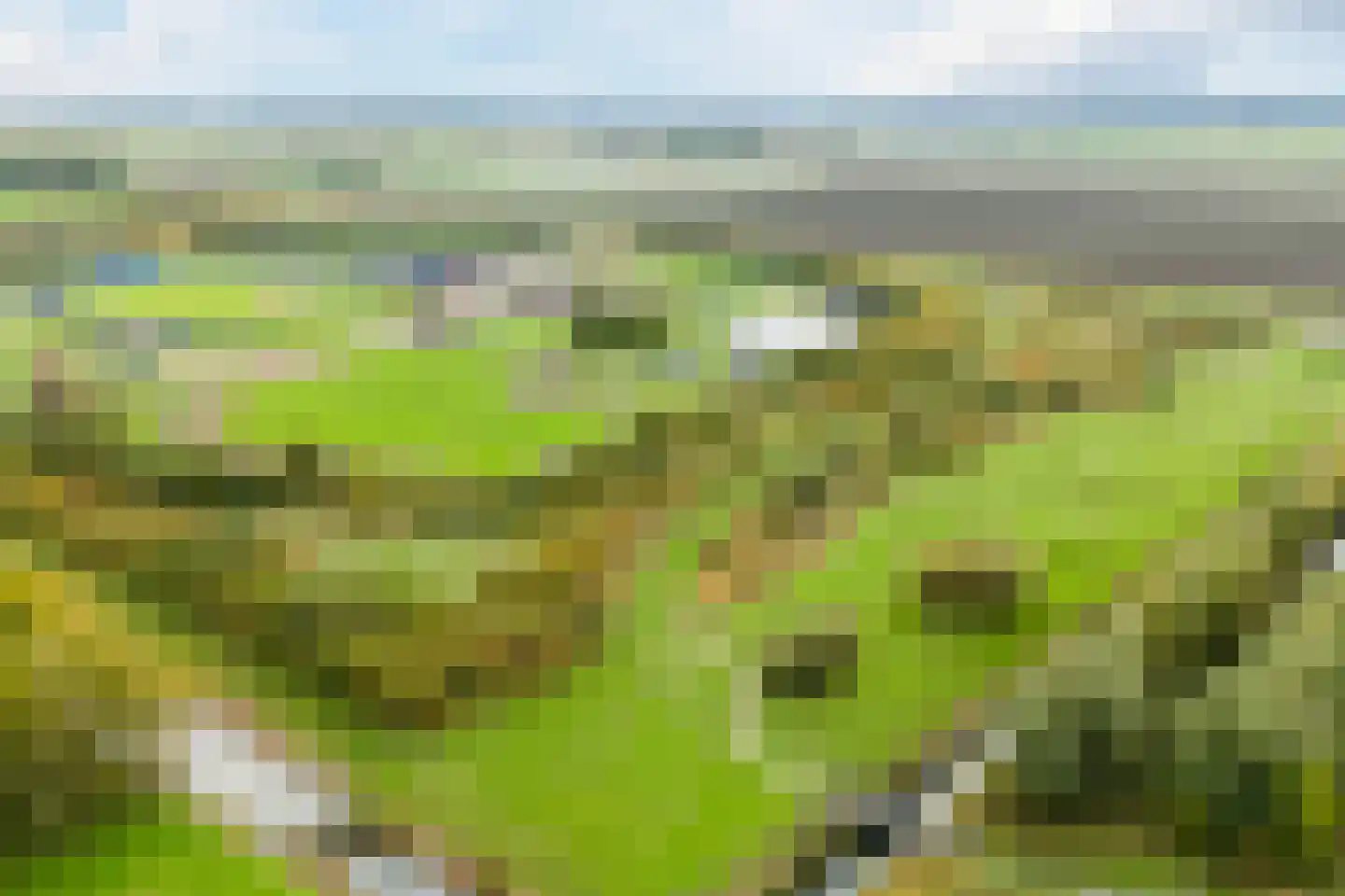 Hof van Pampus 113 Hoofddorp thumbnail 82