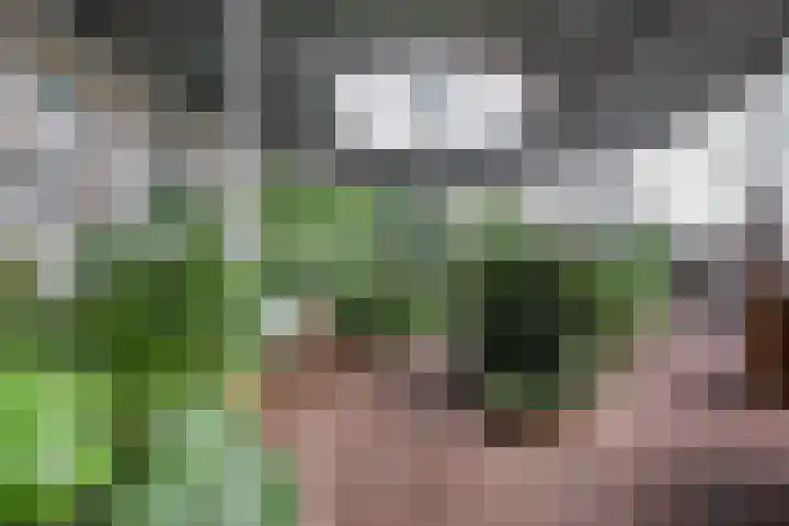 Hof van Pampus 73 Hoofddorp thumbnail 32