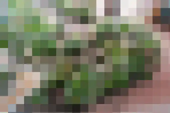 Hof van Pampus 73 Hoofddorp thumbnail 33