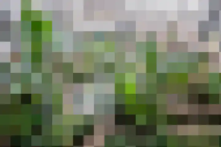 Hof van Pampus 73 Hoofddorp thumbnail 5