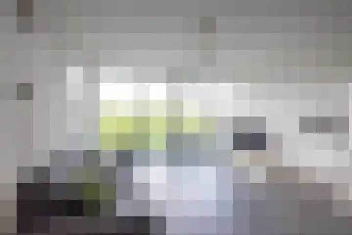 Hof van Pampus 75 Hoofddorp thumbnail 10