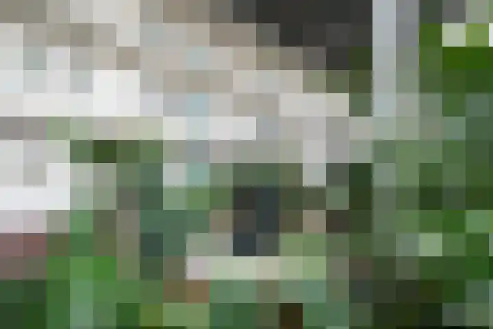 Hof van Pampus 75 Hoofddorp thumbnail 6