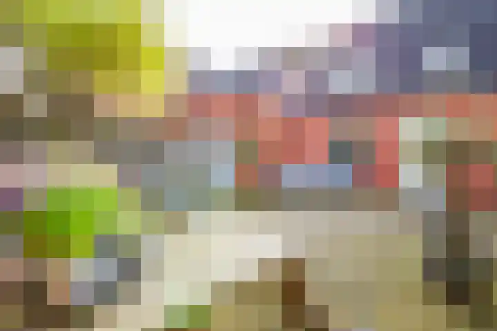 Hof van Parijs 10 Doetinchem thumbnail 12
