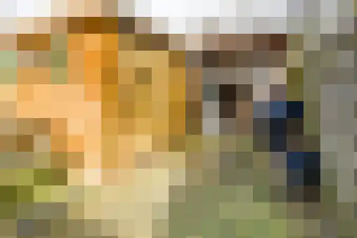 Hof van Parijs 10 Doetinchem thumbnail 13