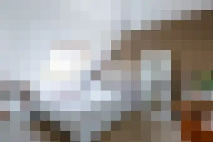 Hof van Parijs 10 Doetinchem thumbnail 19