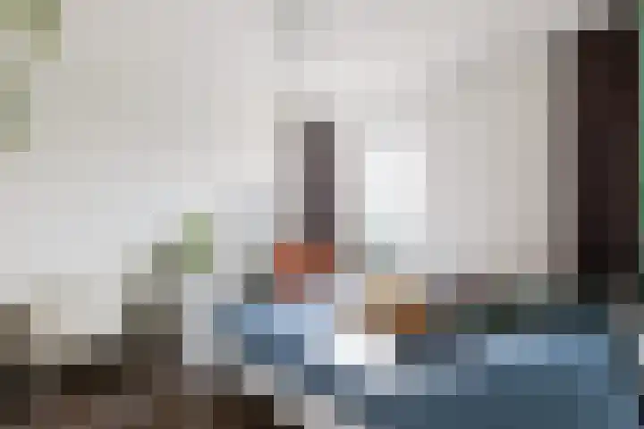 Hof van Parijs 10 Doetinchem thumbnail 21