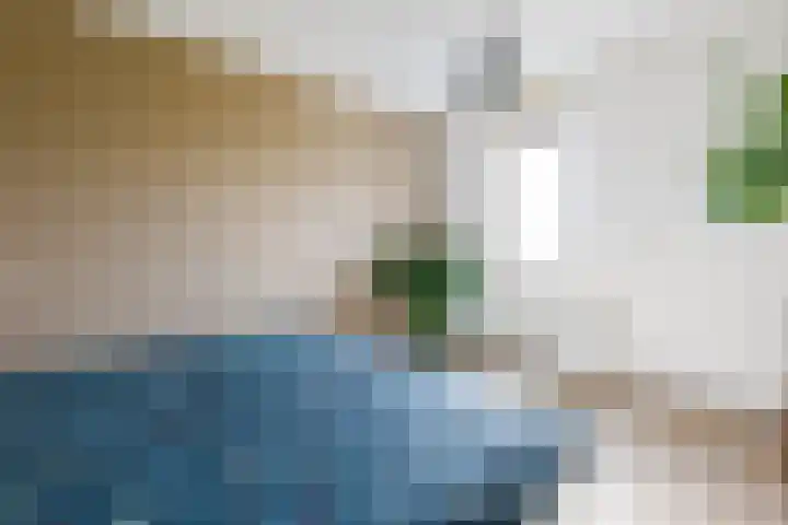 Hof van Parijs 10 Doetinchem thumbnail 31