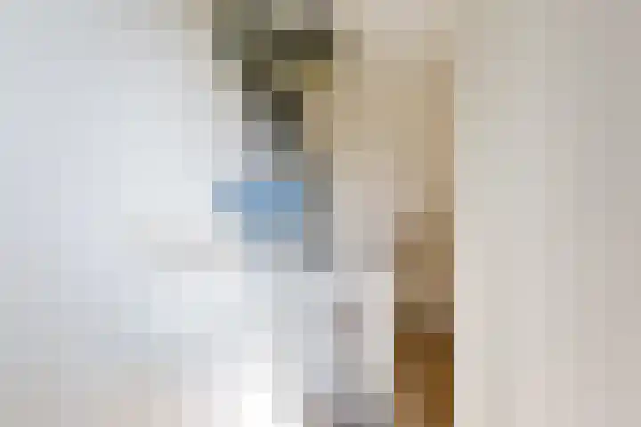 Hof van Parijs 10 Doetinchem thumbnail 33